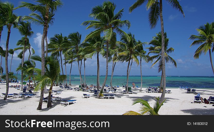 Caribbean beach with palms on a background a light-blue ocean