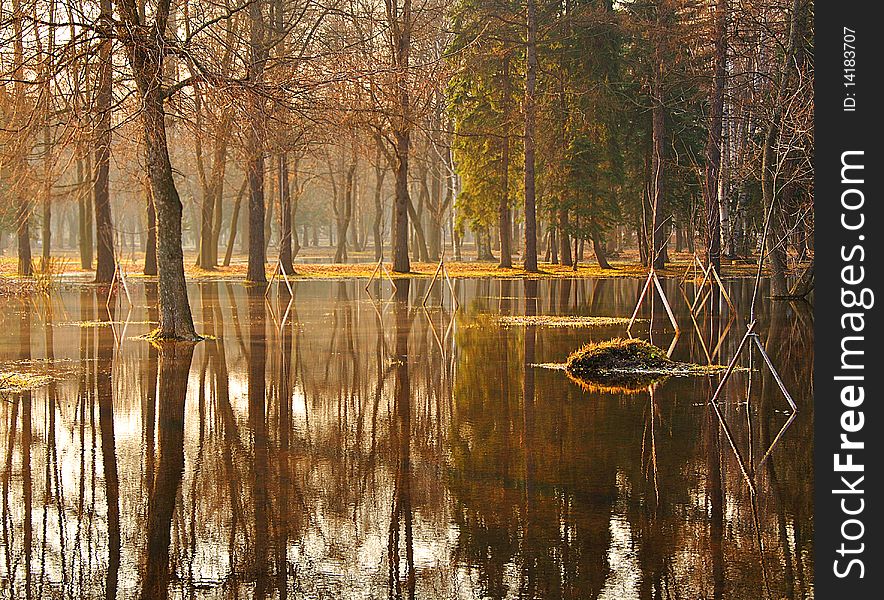 Trees standing in water during a spring flood. Trees standing in water during a spring flood