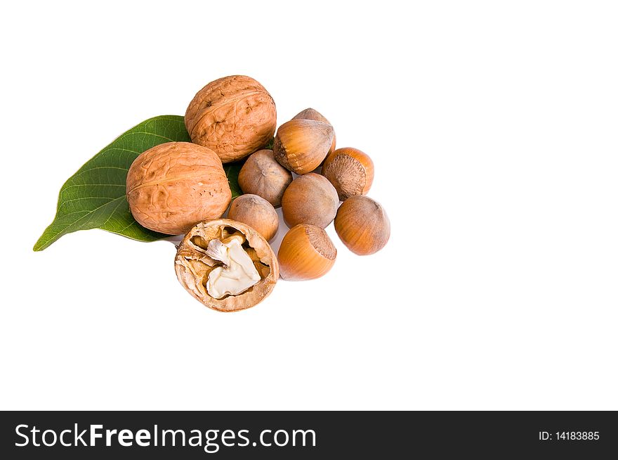 Ripe edible walnuts and hazelnuts isolated on a white background. Ripe edible walnuts and hazelnuts isolated on a white background.