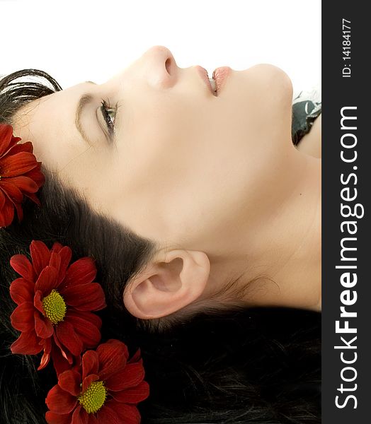 Portrait of woman with red daisies in her hair. Portrait of woman with red daisies in her hair.