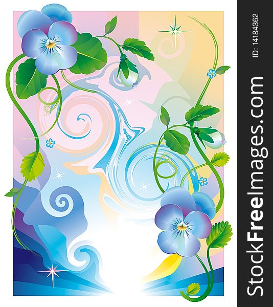 Pansy flowers blue for postcard, for design. Pansy flowers blue for postcard, for design