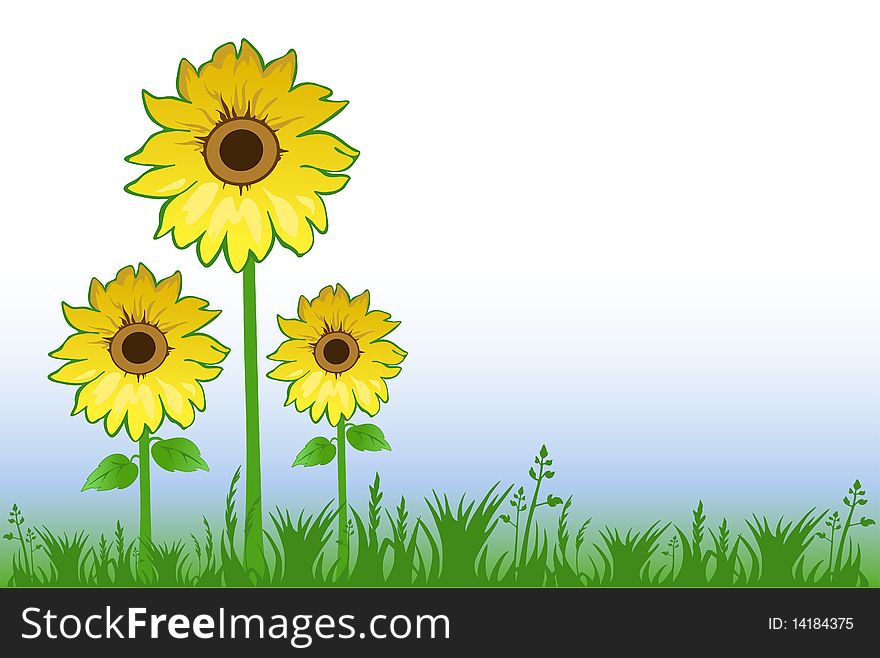 Natural background with yellow sunflowers, grass and blue sky