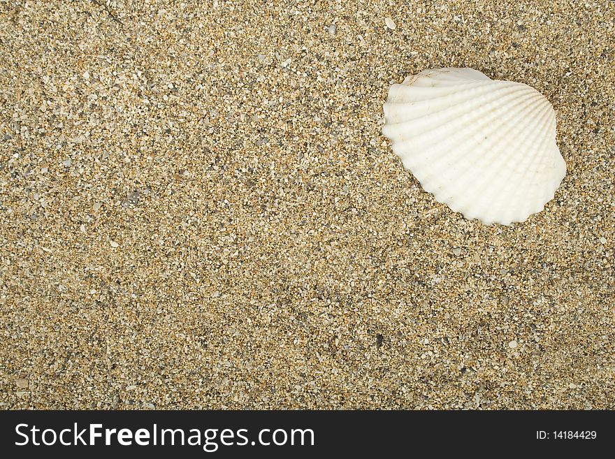 Sea sand with remnants of shells and small pebbles. Background. Shell