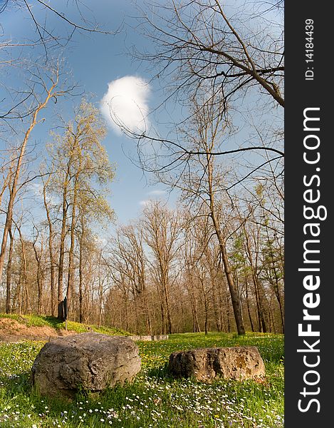 Two rocks, green garden, trees and a cloud. Two rocks, green garden, trees and a cloud