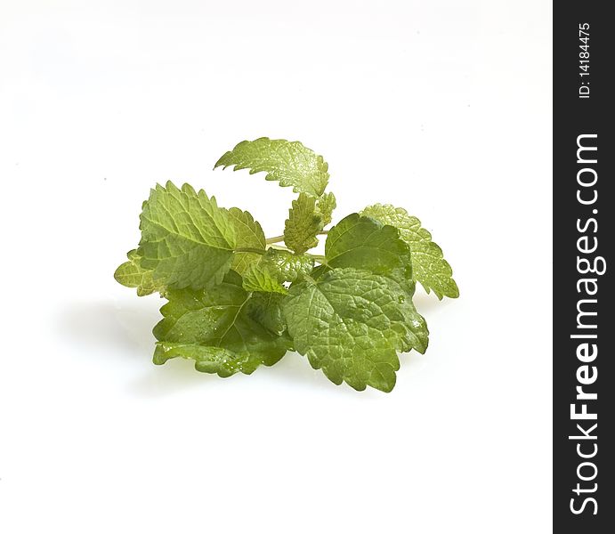 Some mint leaves on a white background