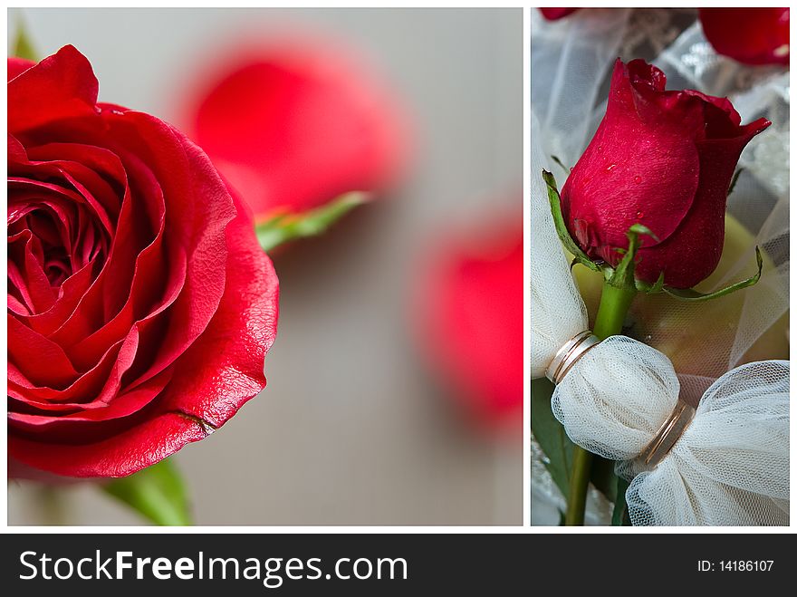 Wedding collage with red roses, weddings rings and bridal veil