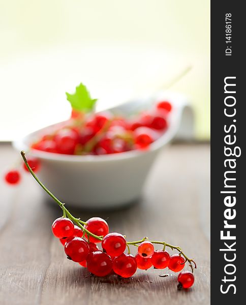 Fresh red currants on the table
