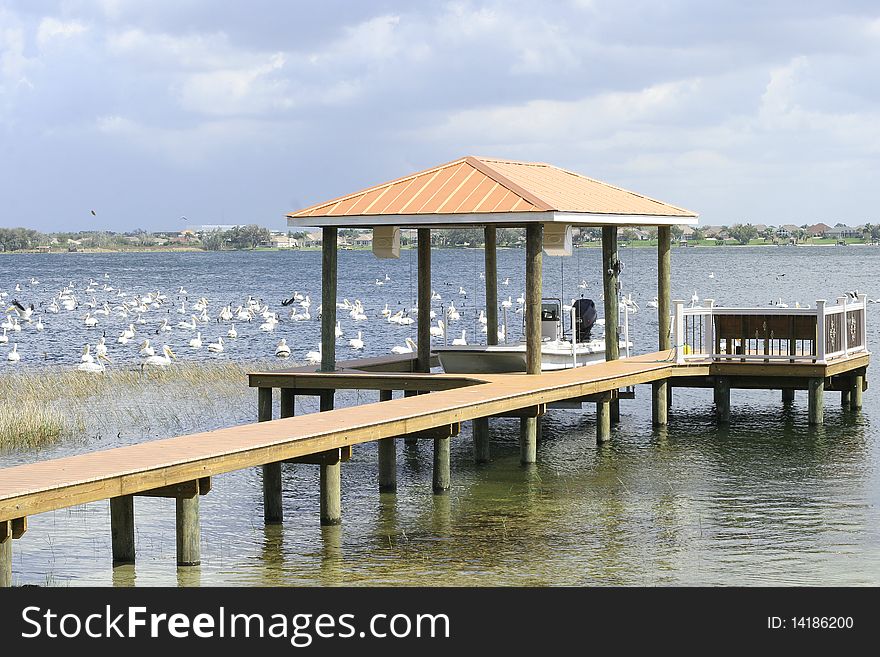 Shot of beautiful birds floating around dock