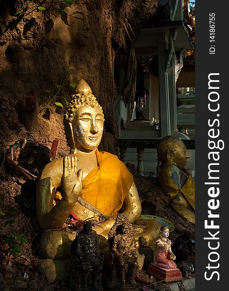 Budda in kalasin of thailand