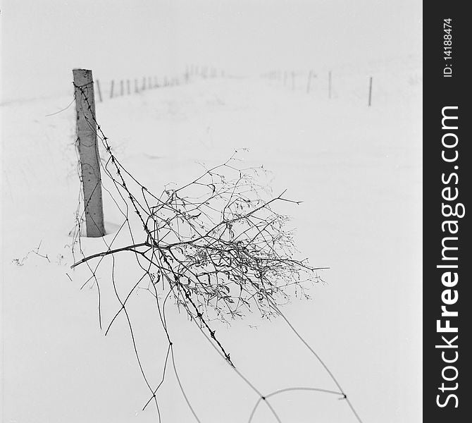 A broken fence in the snow,shooting in bashang of Hebei CHINA.