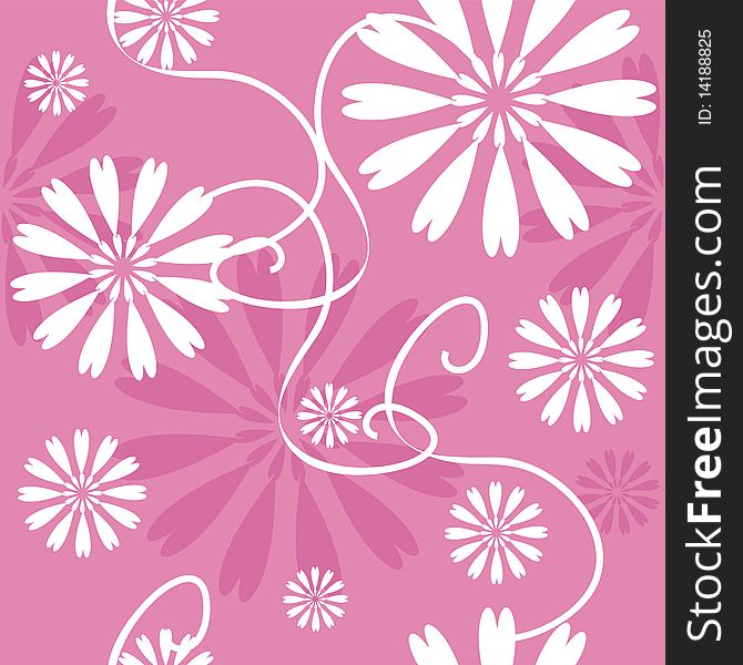 Background with white flowers on pink. Background with white flowers on pink