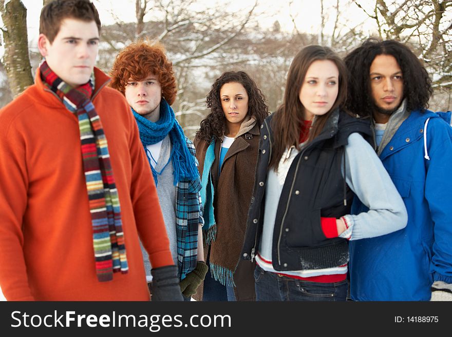 Teenage Friends Having Fun In Snowy Landscape