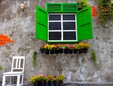 Window Green In An Old House Decorated With Flower Pots And Flowers With A White Chair On Concrete Wall Background Stock Photos