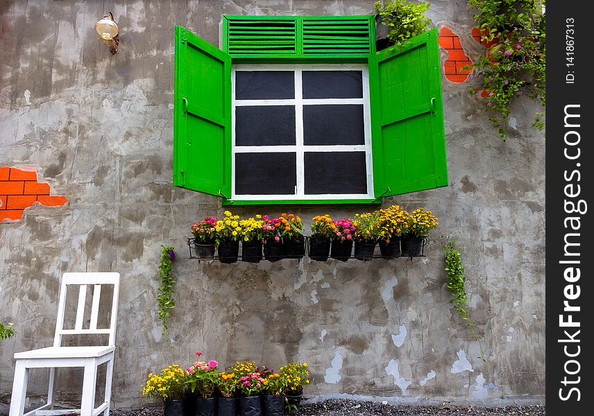 Window green in an old house decorated with flower pots and flowers With a white chair on concrete wall background