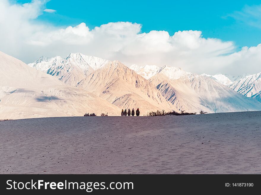 A group of people enjoy riding a camel walking on a sand dune in Hunder, Hunder is a village in the Leh district of Jammu and