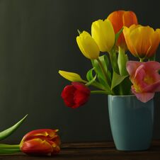 Beautiful Tulips In Vase On Green Background Stock Photo