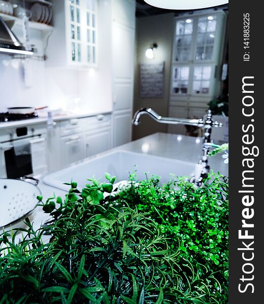 Green home plants used in cooking, food in the modern kitchen in bright colors.