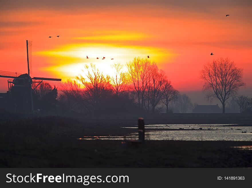 A sunrise in the Netherlands with a typical Dutch landscape and geese taking off. The sun behind the clouds with lake and a windmill.