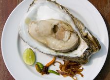 Fresh Oyster Stock Photo Fresh Oyster Stock Photo