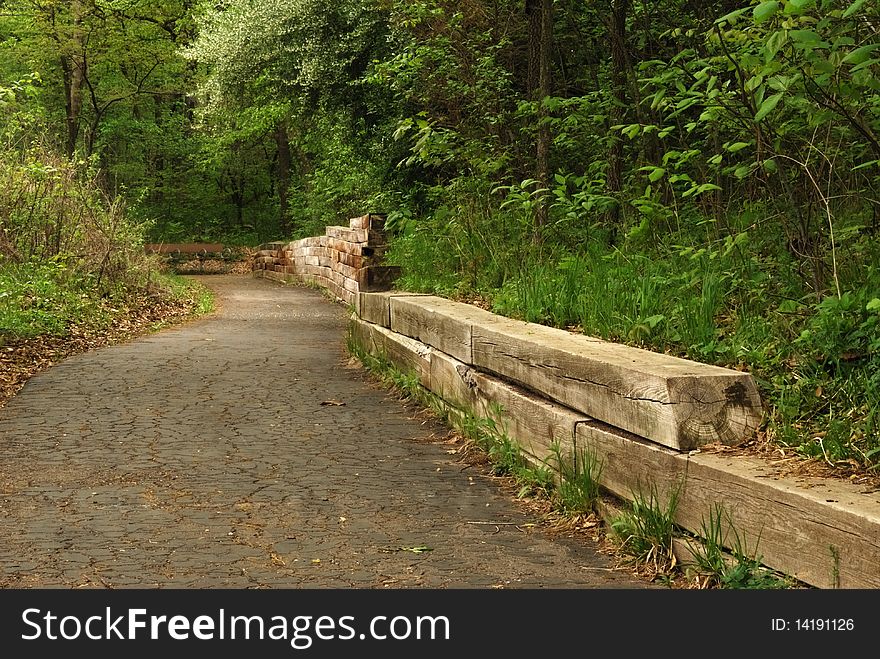 Bench Along Trail