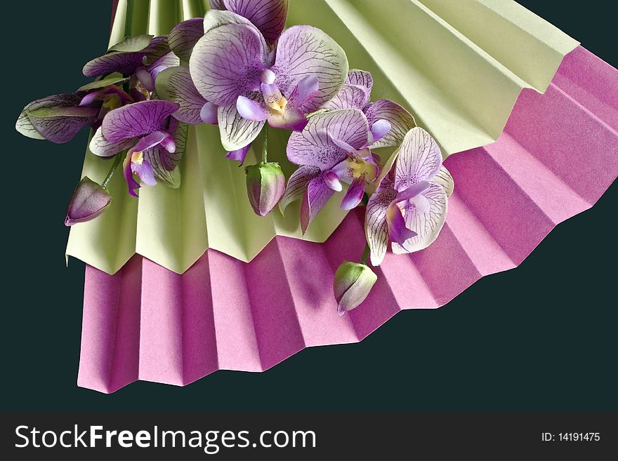 A paper fan and silk orchids. A paper fan and silk orchids