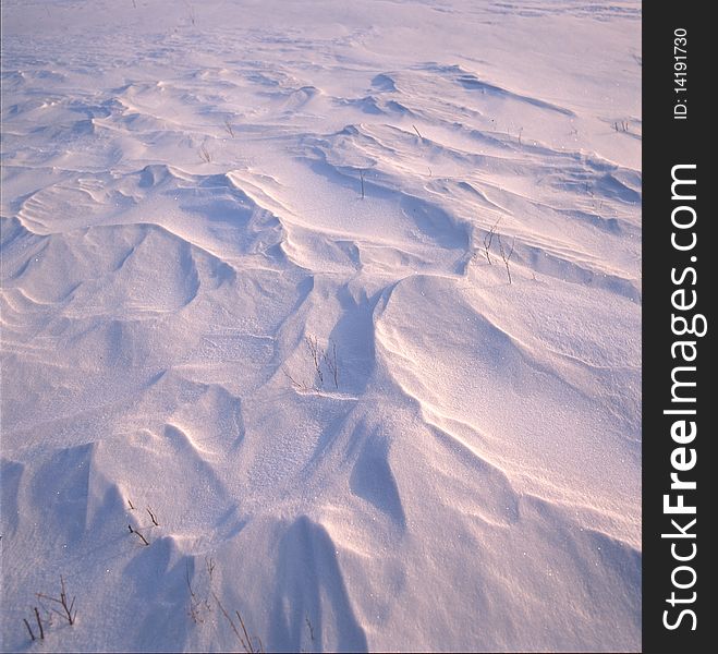 Ice grass in the frozen river,shoot in hebei bashang .