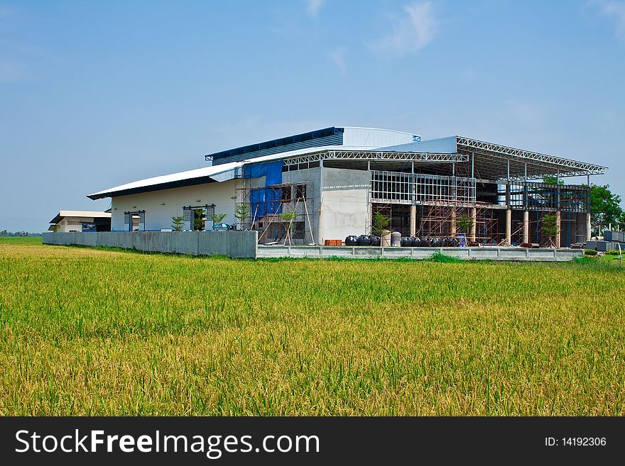 Building and the field