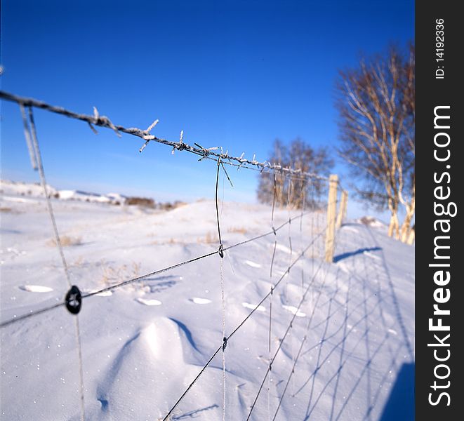 Ice fence in the snow field,shoot in hebei bashang .