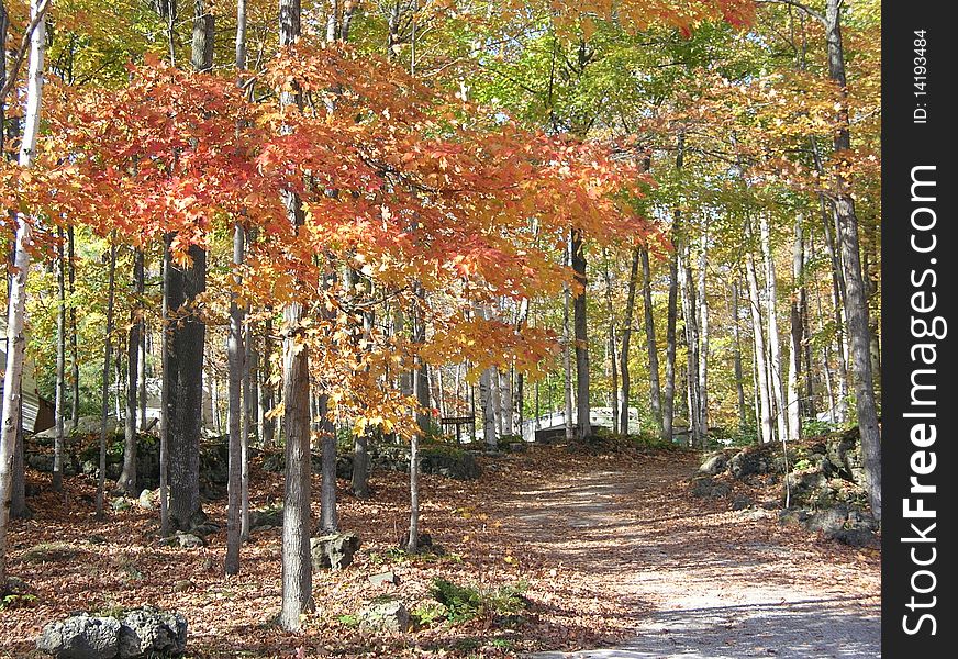 Autumn in the Bruce Peninsula