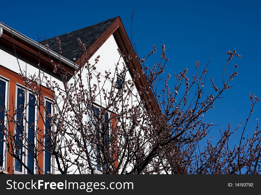 Top of house roof lines and blue sky in background