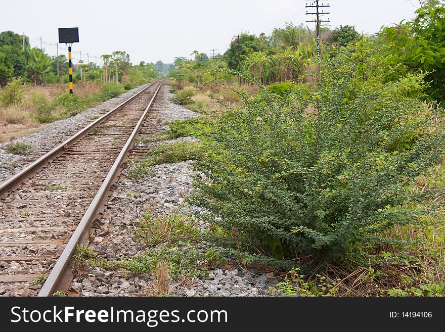 Railway sidewalk and the tree