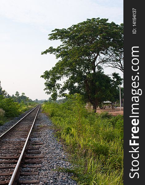 Railway sidewalk and the tree