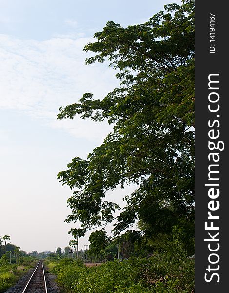 Railway Sidewalk And The Tree