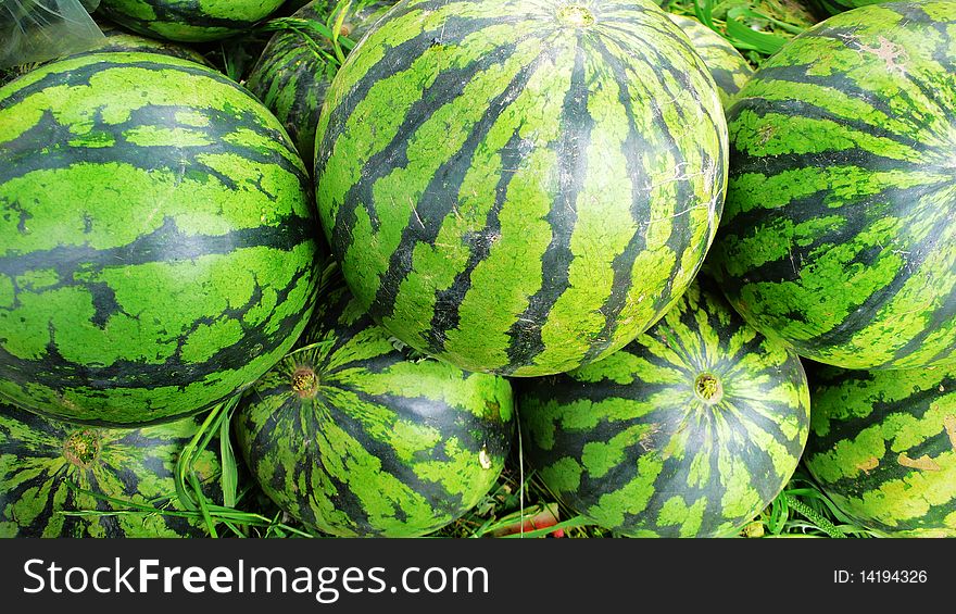 A pile of water melon in summer. A pile of water melon in summer
