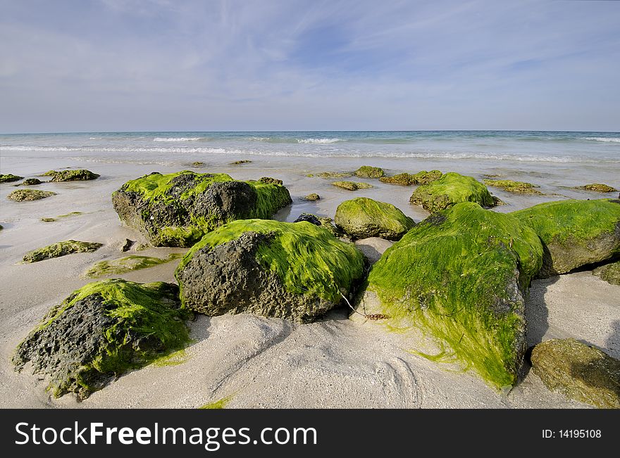 Rocky beach with seaweed, Santa Maria, cuba
