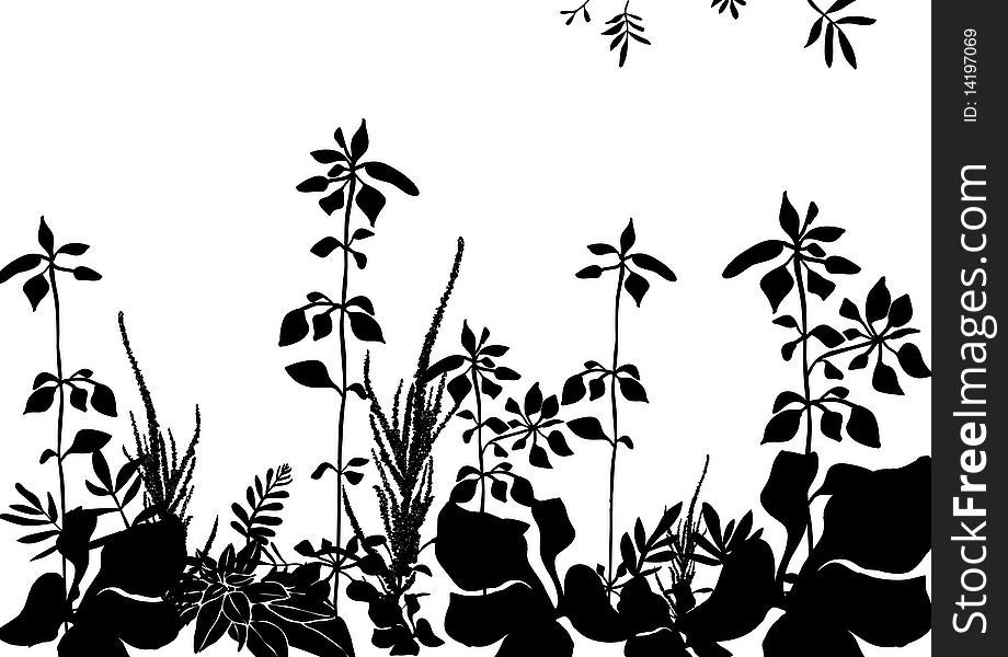 Floral black pattern with miscellanious plants. Floral black pattern with miscellanious plants