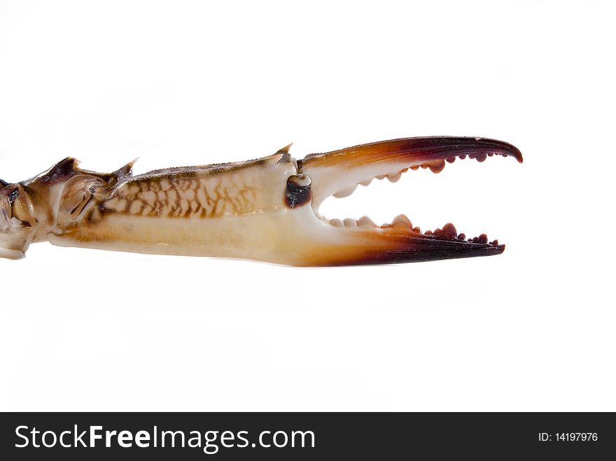 Crab Claw