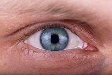 Attentive Penetrating Male Gaze. The Man`s Eyes Closeup Royalty Free Stock Photography