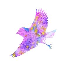 Watercolor Flying Bird Royalty Free Stock Images