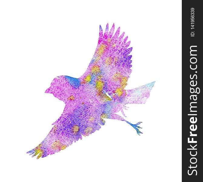 Watercolor flying bird