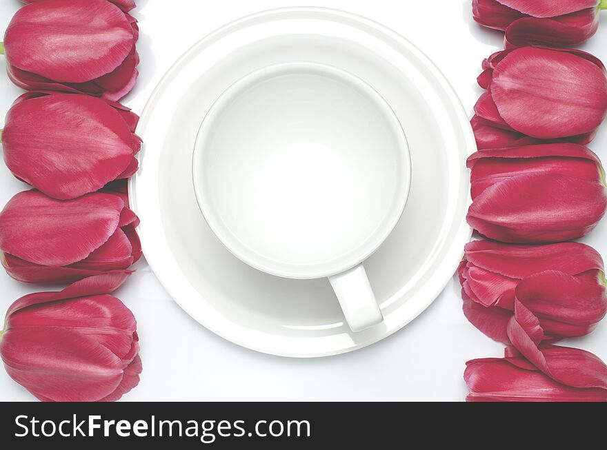 Red tulips lie on a white background near the white coffee cup, which stands on a white saucer