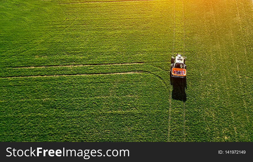 Tractor makes fertilizer on the field. Top view.