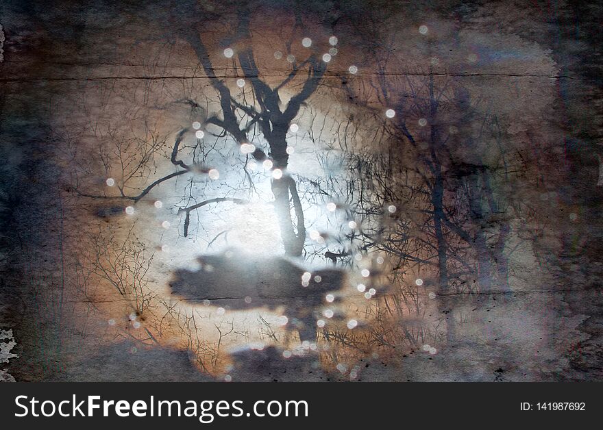 The reflection of the naked trees and hazy sun in the puddle, dead air. Inverted autumn image. The reflection of the naked trees and hazy sun in the puddle, dead air. Inverted autumn image