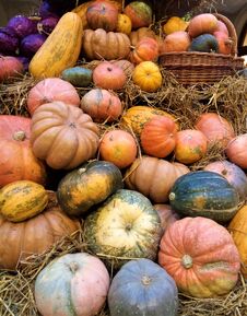 Free Macro Photo With Decorative Background Texture Of Large Multi-colored Fruits Of Pumpkin Plants Stock Photos - 141993073