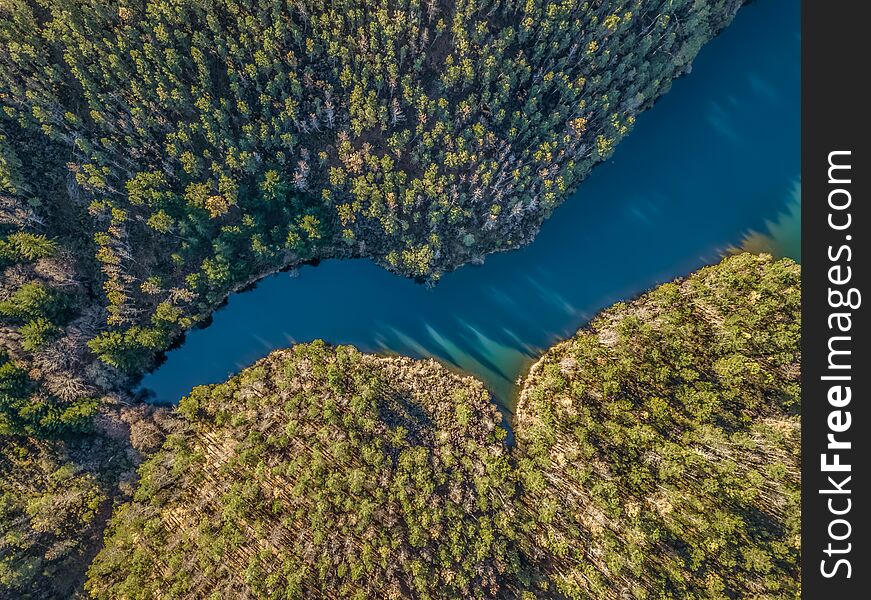 Aerial view of drone, artificial lake and dense forest on the banks