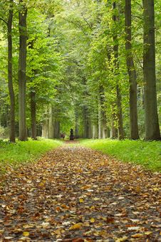 Autumn In The Park Royalty Free Stock Photos Autumn In The Park Royalty Free Stock Photos