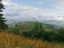 Mountainous Meadow 7 Royalty Free Stock Photos Mountainous Meadow 7 Royalty Free Stock Photos