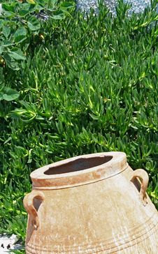Vase Royalty Free Stock Image