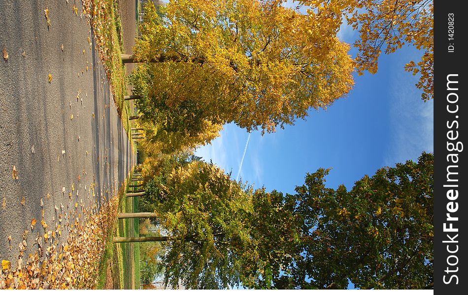 Avenue in bavaria in autumn. Avenue in bavaria in autumn