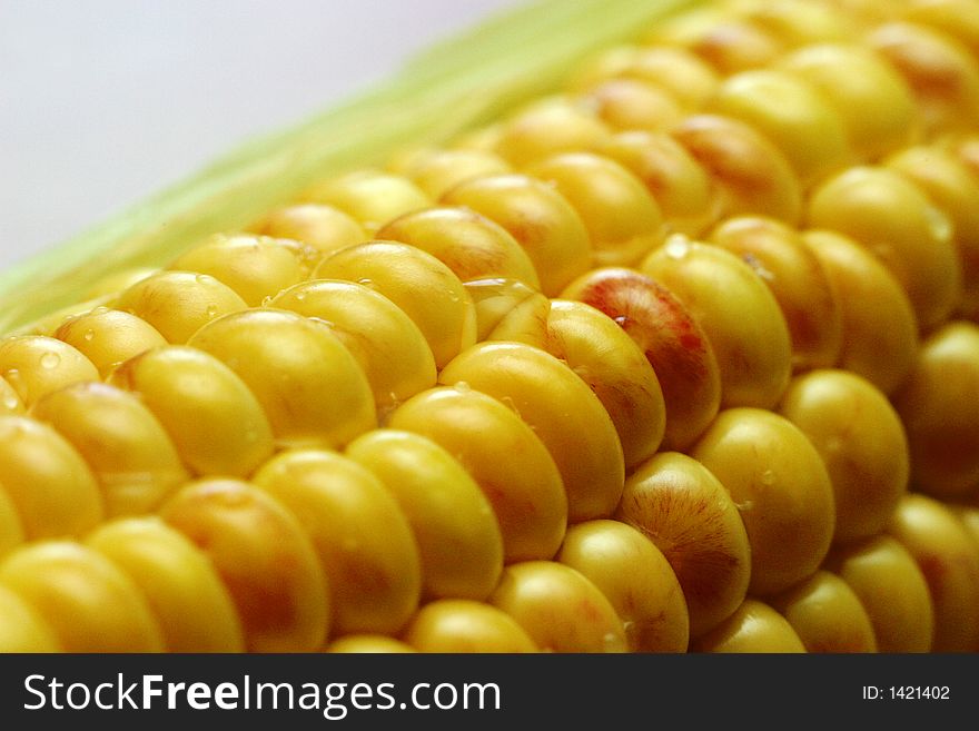 Damp grain with drops close-up. The macro-ring is used. Damp grain with drops close-up. The macro-ring is used